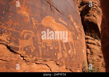 Das Bear Panel ist ein Fremont Culture Rock Art Panel der Ureinwohner Amerikas entlang des Colorado River in der Nähe von Moab, Utah. Diese Petroglyphen im Fremont-Stil sind 80 Stockfoto