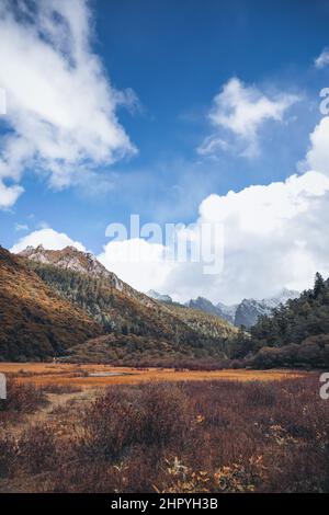 Panoramablick auf die Yading Chonggu Wiese in Daocheng, Ganzi, Sichuan, China Stockfoto