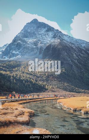 Panoramablick auf die Yading Chonggu Wiese in Daocheng, Ganzi, Sichuan, China Stockfoto