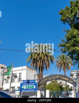 Polizei Verwaltungsbereich Birmoradrais Eingangsgebäude, Namensschild in arabischer sprache, Telefonnummer, algerische Flagge, elektrische Post Licht, Kabel. Palme Stockfoto