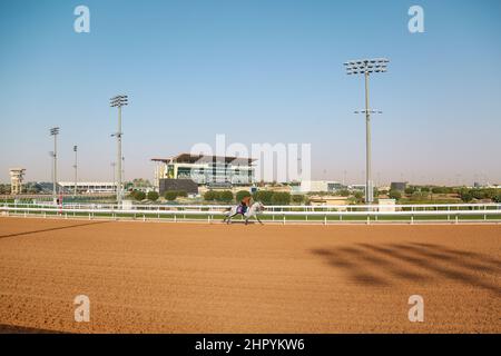 Riad, USA. 24th. Februar 2022. 24. Februar 2022: SHABAH-Übungen zur Vorbereitung auf der King Abdulaziz Racecourse in Riad, Saudi-Arabien, am 24th. Februar 2022. Shamela Hanley/Eclipse Sportswire/CSM/Alamy Live News Stockfoto