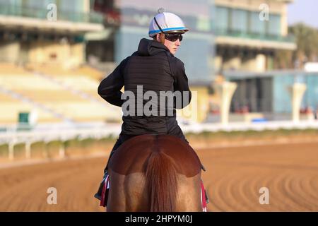 Riad, USA. 24th. Februar 2022. 24. Februar 2022: SONNYBOYLISTEN-Übungen zur Vorbereitung auf der King Abdulaziz Racecourse in Riad, Saudi-Arabien, am 24th. Februar 2022. Shamela Hanley/Eclipse Sportswire/CSM/Alamy Live News Stockfoto