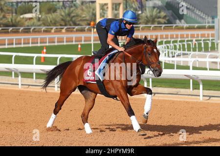 Riad, USA. 24th. Februar 2022. 24. Februar 2022: DUBAI FUTURE Exercises in Vorbereitung auf der King Abdulaziz Racecourse in Riad, Saudi-Arabien, am 24th. Februar 2022. Shamela Hanley/Eclipse Sportswire/CSM/Alamy Live News Stockfoto