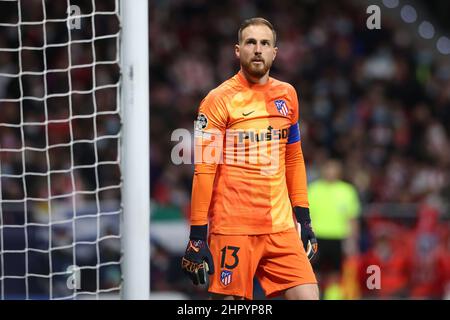 Madrid, Spanien, 23rd. Februar 2022. Jan Oblak von Atletico Madrid schaut während des UEFA Champions League-Spiels im Estadio Metropolitano, Madrid, auf. Bildnachweis sollte lauten: Jonathan Moscrop / Sportimage Stockfoto