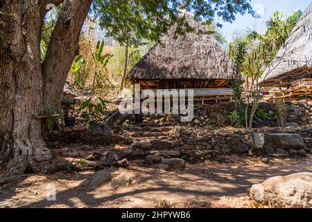 Ein Lumbung-Lagerhaus erhebt sich hinter einem knorrigen Baum im Dorf Takpala, Alor, Indonesien, mit einer Frau in traditioneller Kleidung, die auf den Steintritten davor steht. Stockfoto
