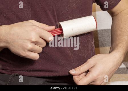 Ein Mann mit einer klebrigen Kleiderrolle entfernt Tierhaare aus der Kleidung. Katzenhaar auf der Kleidung. Eine klebrige Rolle, die Katzenhaare entfernt. Stockfoto