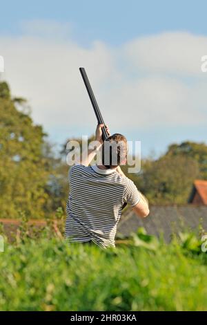Männliche Rebhühner Stockfoto