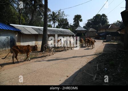 Pearson Pally. Das Santali-Stammesdorf bei Visva-Bharati. Santiniketan, Bolpur, Birbhum, Westbengalen, Indien. Stockfoto