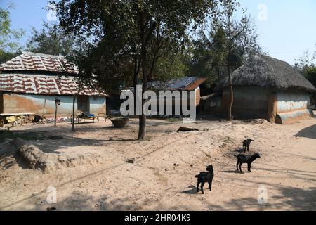 Pearson Pally. Das Santali-Stammesdorf bei Visva-Bharati. Santiniketan, Bolpur, Birbhum, Westbengalen, Indien. Stockfoto