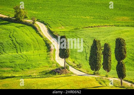 Landschaft mit einem Zypressen gesäumten Pfad in der Nähe von Pienza Stadt. Val d'Orcia in der Toskana, Italien, Europa. Stockfoto