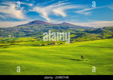 Landschaft im Val d'Orcia Tal der Toskana im Frühling, Italien. Stockfoto