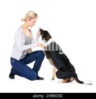 Hes ein so guter Junge. Studioaufnahme einer jungen Frau mit ihrem Hund auf Weiß isoliert. Stockfoto