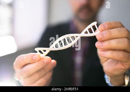 DNA-Molekül in der Hand. Biochemie Wissenschaft Und Biotechnologie Stockfoto