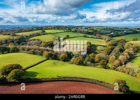 Herbst in Devon bei Exeter, Devon, England, Vereinigtes Königreich, Europa Stockfoto