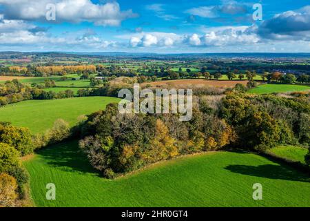 Herbst in Devon bei Exeter, Devon, England, Vereinigtes Königreich, Europa Stockfoto