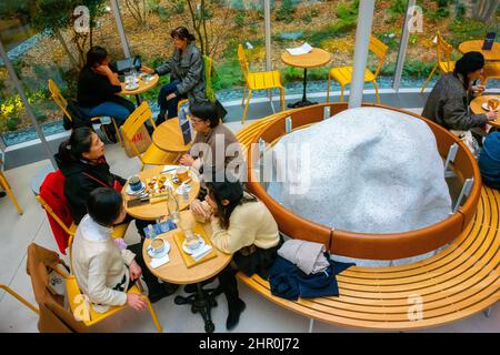 Paris, Frankreich, High Angle, Gruppen japanischer Touristen teilen sich Melas im Restaurant La Samaritaine Französisches Kaufhaus, innen Stockfoto