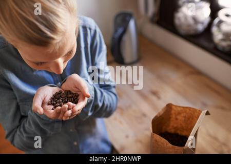 Frischer Kaffee. Eine junge Frau, die in ihrer Küche frische Kaffeebohnen riecht. Stockfoto