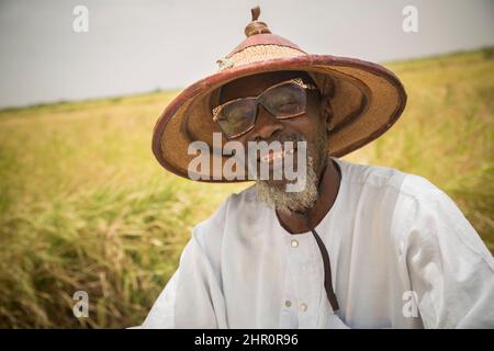 Ein Mann mit einem traditionellen Sonnenhut sitzt auf seinem Reisfeld im Senegal-Flussdelta im nördlichen Senegal in Westafrika. Stockfoto