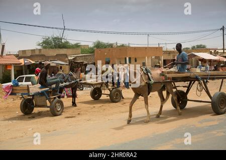 Ein Pferd und ein Wagen fahren auf einer unbefestigten Straße im Senegal-Flusstal im nördlichen Senegal in Westafrika. Stockfoto