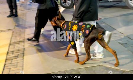Izmir, Türkei, Türkei. 21st. Februar 2022. Alltag mit zufälligem Volk aus verschiedenen kulturellen und wirtschaftlichen Ebenen im beliebtesten Stadtteil Izmir in Alsancak in der Türkei. (Bild: © Idil Toffolo/Pacific Press via ZUMA Press Wire) Stockfoto