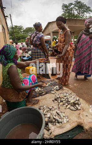 Frauen kaufen und verkaufen frischen Fisch auf einem Straßenmarkt in Tanaff, Senegal, Westafrika. Stockfoto