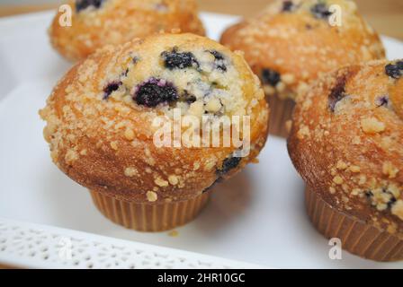 Nahaufnahme von Bakery Blueberry Muffins mit frischen Blaubeeren Stockfoto