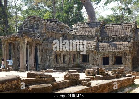 Siem Reap, Kambodscha, Touristen, die den mystischen Ta Prohm Tempel erkunden, der von Dschungelbäumen überwuchert ist Stockfoto