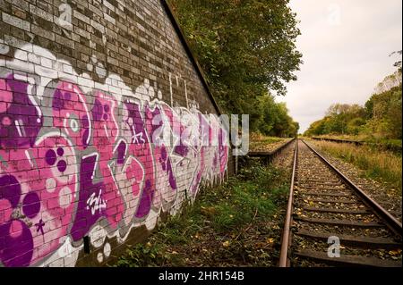 Graffiti an der Wand neben der Eisenbahnstrecke, die mit Herbstblättern bedeckt ist Stockfoto