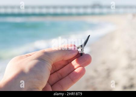 Hand hält Haizohn mit Venice Pier im Hintergrund am Venice Beach in Venice, Florida Stockfoto