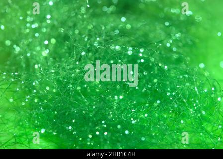 Verworrener, glänzender, grüner Hintergrund aus Synthetikfasern in Makroaufnahmen Stockfoto