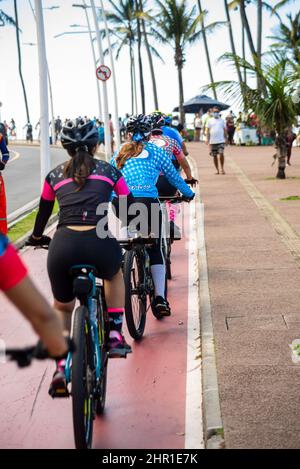 Mehrere Radfahrer auf dem Radweg Farol da Barra in Salvador, Bahia, Brasilien. Stockfoto