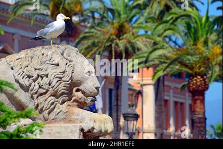 Brunnen von Quatre Löwen im Stadtzentrum, Frankreich, Korsika, Ajacio Stockfoto