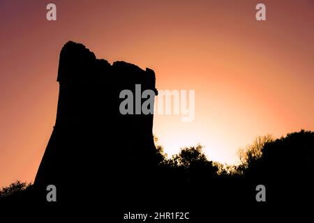 Genueser Turm nördlich der Bucht bei Sonnenuntergang, Frankreich, Korsika, Sagone Stockfoto