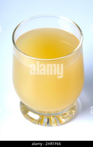 Weißkohl (Brassica oleracea var. capitata f. alba), Sauerkrautsaft in einem Trinkglas Stockfoto