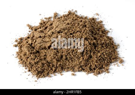 Lackierte Halterung, Reishi-Pilz, Lingzhi-Pilz (Ganoderma lucidum), lackiertes Halterungspulver Stockfoto