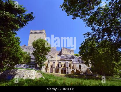 Abtei von Montmajour aus dem 10.. Jahrhundert, Frankreich, Bouches du Rhone, Arles Stockfoto