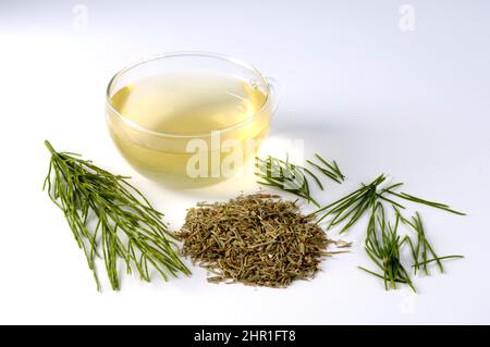 Feldachsetail (Equisetum arvense), gehackter Schachtelhalm und Tasse Schachtelhalm-Tee, Ausschnitt Stockfoto