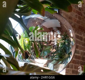 Die Blätter der Schweizer Käsepflanze Monstera spiegeln sich in einer Glashängelampe im Tom Dixon Flagship Store und Showroom in Coal Drops Yard, Kings Cross, London, Großbritannien Stockfoto