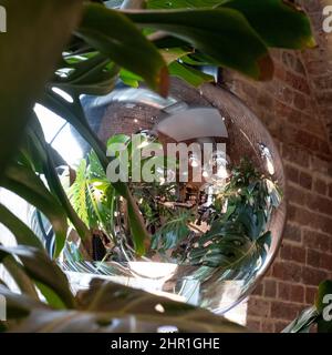 Die Blätter der Schweizer Käsepflanze Monstera spiegeln sich in einer Glashängelampe im Tom Dixon Flagship Store und Showroom in Coal Drops Yard, Kings Cross, London, Großbritannien Stockfoto