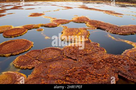 Panorama surrealer Farben und marsähnlicher Landschaft, die von Schwefelquellen am heißesten Ort der Erde, der Danakil-Depression in der Afar-Region, geschaffen wurde Stockfoto