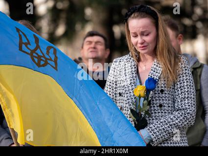 Sacramento, CA, USA. 24.. Februar 2022. Daria Mechkova hält gelbe und blaue Rosen, die Farbe der ukrainischen Nationalflagge, während einer Kundgebung der Unterstützung der Ukraine gegen die russische Invasion in der Ukraine am Donnerstag, dem 24. Februar 2022, im State Capitol in Sacramento. (Bild: © Paul Kitagaki Jr./ZUMA Press Wire) Stockfoto