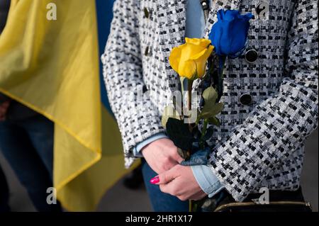Sacramento, CA, USA. 24.. Februar 2022. Daria Mechkova hält gelbe und blaue Rosen, die Farbe der ukrainischen Nationalflagge, während einer Kundgebung der Unterstützung der Ukraine gegen die russische Invasion in der Ukraine am Donnerstag, dem 24. Februar 2022, im State Capitol in Sacramento. (Bild: © Paul Kitagaki Jr./ZUMA Press Wire) Stockfoto