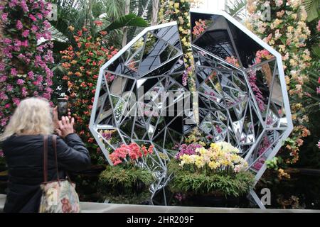 New York, USA. 23.. Februar 2022. Besucher sehen sich die Orchideenausstellung „Jeff Leatham's Kaleidoscope“ im Botanischen Garten an. Die Ausstellung ist bis zum 1. Mai im tropisch warmen und grün bewachsenen Gewächshaus der Bronx-Anlage zu sehen. (To dpa 'Wow Effect': 'Flower Designer to the stars' zeigt Orchideen in New York') Quelle: Christina Horsten/dpa/Alamy Live News Stockfoto