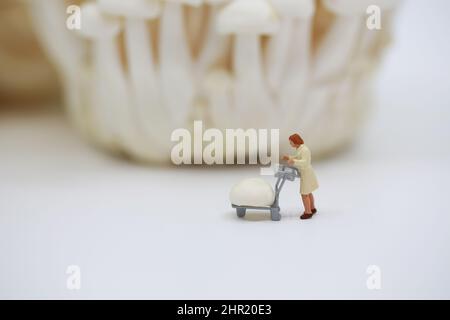 Frau, die im Feld der Pilze einkaufen Stockfoto