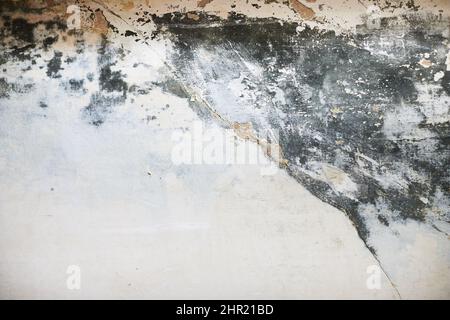 Die Textur der Betonwand mit teilweise abgewaschenen Gips, Wasserschäden und Schimmel. Vorderansicht. Stockfoto