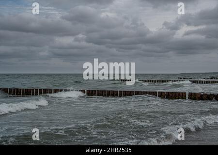 An einem stürmischen Sommertag werden in der Ostsee Holzkrauschen eingesetzt Stockfoto