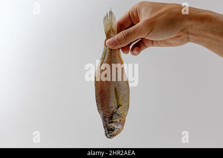 Getrockneter gelber Croaker auf weißem Hintergrund Stockfoto
