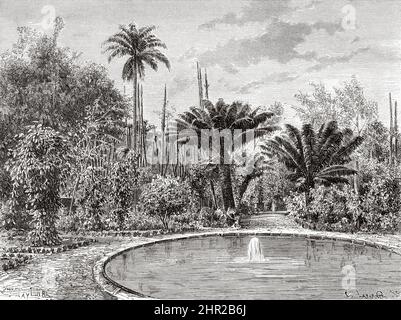 Die Botanikschule in Saint-Pierre, Martinique. Südamerika. Alte, 19.. Jahrhundert gravierte Illustration von der Reise nach Kolumbien von Edward Francois Andre, Le Tour du Monde 1877 Stockfoto