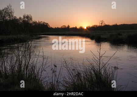 Waverley Lane, Elstead. 25.. Februar 2022. Ein kalter, aber trockener Start in den Tag für die Heimatkreise. Morgenlicht am Fluss Wey bei Thundry Meadows in Elstead, in der Nähe von Godalming, in Surrey. Kredit: james jagger/Alamy Live Nachrichten Stockfoto