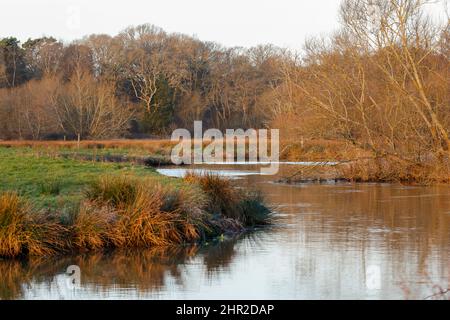 Waverley Lane, Elstead. 25.. Februar 2022. Ein kalter, aber trockener Start in den Tag für die Heimatkreise. Morgenlicht am Fluss Wey bei Thundry Meadows in Elstead, in der Nähe von Godalming, in Surrey. Kredit: james jagger/Alamy Live Nachrichten Stockfoto